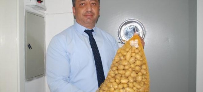 Niğde'de elit patates tohumluğu üretiliyor