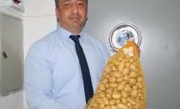 Niğde'de elit patates tohumluğu üretiliyor