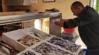 Ordu'da fındık 9, hamsi 20 lira