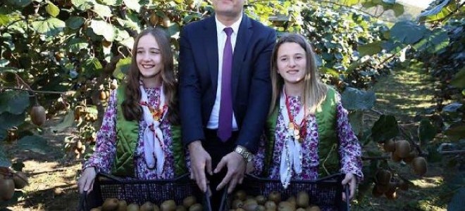 'Ordu kivisi' marka olacak