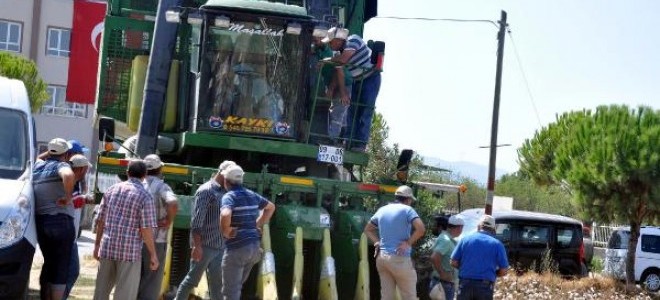 Pamuk üreticisinin fiyat endişesi