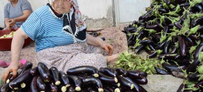 Patlıcan Kurutma 700 Kişiye İstihdam Sağlıyor