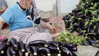 Patlıcan Kurutma 700 Kişiye İstihdam Sağlıyor