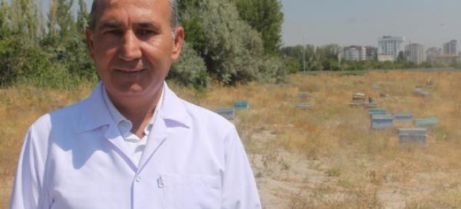 Prof.Dr. Akyol: Yanlış ilaç kullanımı bal ihracatını etkiliyor
