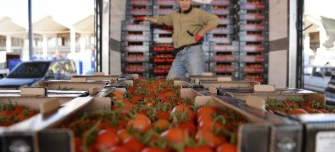 Rusya'ya 1 yıl 11 ay Sonra İlk Domates İhracı