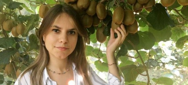 Silifke'de yılın ilk kivi hasadı yapıldı