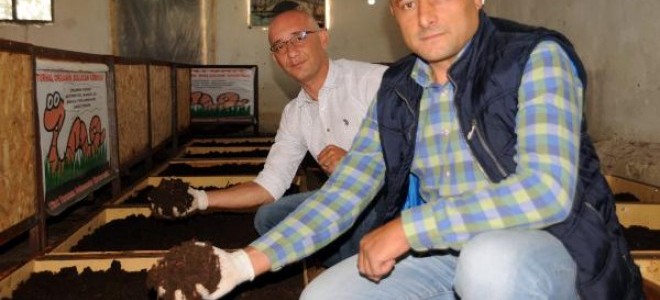 Solucan satışından 1 yılda 1 milyon lira kazandılar