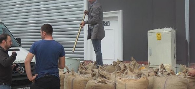 TMO fındık alımına başladı