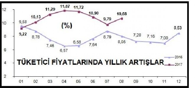 Tüketici fiyatları Ağustos'ta yüzde 0.52 arttı, yıllık enflasyon çift hanede (2)