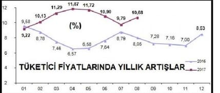 Tüketici fiyatları Ağustos'ta yüzde 0.52 arttı, yıllık enflasyon çift hanede (2)