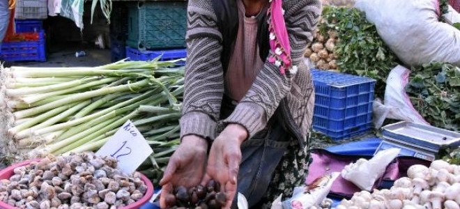 Türk kestanesine en fazla talep İtalya'dan 