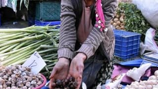 Türk kestanesine en fazla talep İtalya'dan 