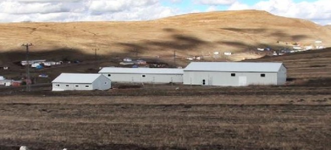 Türkiye'nin ilk ruhsatlı kaz kesim tesisi faaliyete başladı