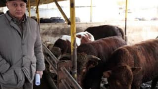 Türkiye Yem Sanayicileri Birliği Başkanı Karakuş: Et ithali sürerse üretici çıkmaz sokağa girer