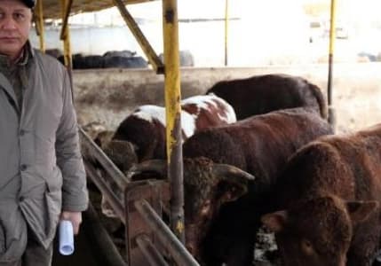 Türkiye Yem Sanayicileri Birliği Başkanı Karakuş: Et ithali sürerse üretici çıkmaz sokağa girer