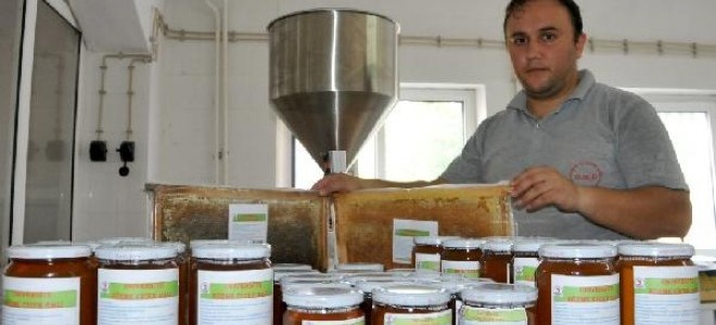 Üniversitenin ürettiği saf çiçek balına yoğun talep