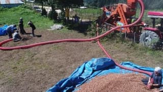 Üretici fındığını 2 bin rakımlı yaylalarda kurutuyor