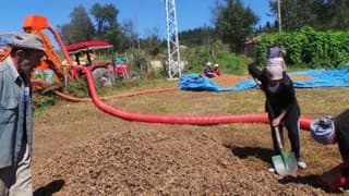 Üretici fındığını 2 bin rakımlı yaylalarda kurutuyor/ ek fotoğraflar