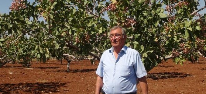 Ürettiği Antepfıstığı çeşidine soyadını verip tescilletti