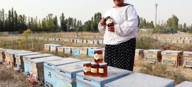 Vanlı kadın arıcılar bal hasadını yaptı