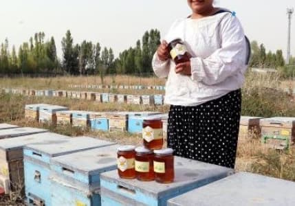 Vanlı kadın arıcılar bal hasadını yaptı