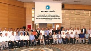 Zeytinde Son 10 Yılın En Yüksek Rekoltesi Bekleniyor