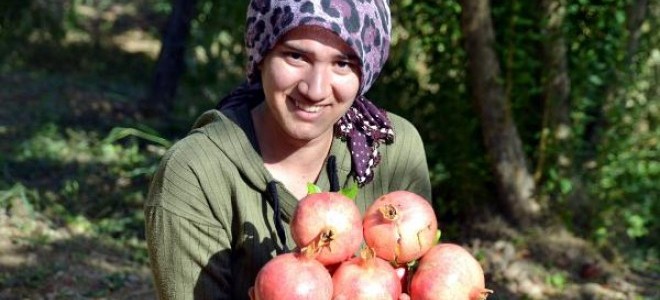 'Zivzik narı' üreticinin yüzünü güldürdü