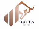 BULLS GSYO