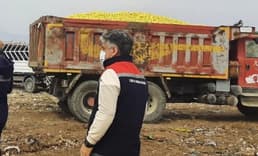 Yine Pestisit! Dubai’ye gönderilecek 70 ton limonda yasaklı madde tespit edildi!