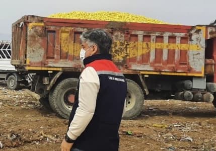 Yine Pestisit! Dubai’ye gönderilecek 70 ton limonda yasaklı madde tespit edildi!