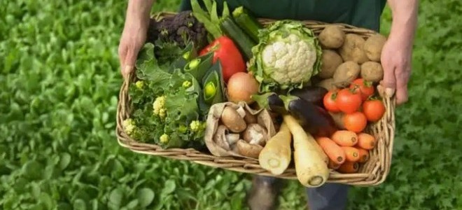 Sahte 'organik ürün' etiketiyle zenginleşenler için 1 Ağustos'ta oyun bozuluyor!