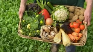 Sahte 'organik ürün' etiketiyle zenginleşenler için 1 Ağustos'ta oyun bozuluyor!