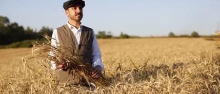 1 TL'ye ekmek satılan Kestel’de buğday hasadı başladı