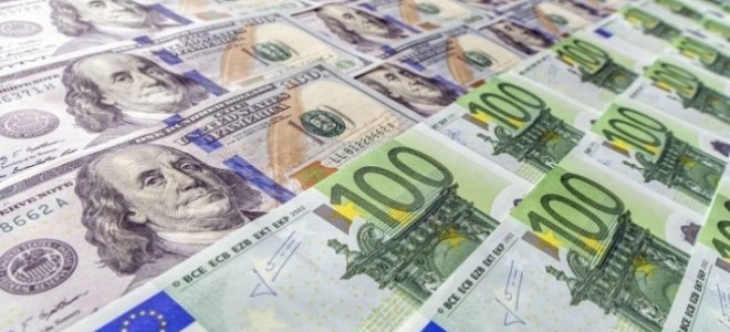 10 ayda döviz alımı 27,5 milyar dolar arttı