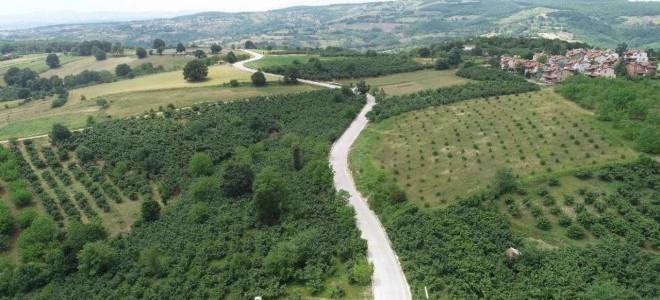 11 ilde bazı alanlar orman sınırları dışına çıkarıldı