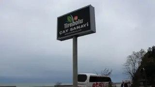 121 yıllık Tirebolu 42 Çay iflas etti