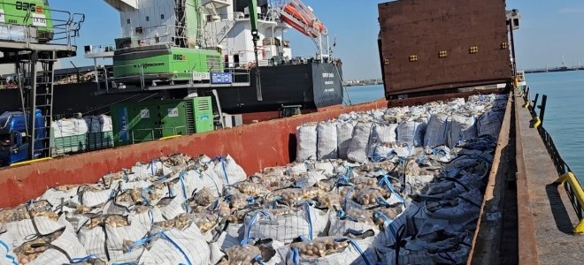 2 bin tonu aşkın ithal patates virüslü çıktı