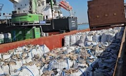 2 bin tonu aşkın ithal patates virüslü çıktı