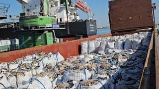 2 bin tonu aşkın ithal patates virüslü çıktı