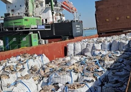 2 bin tonu aşkın ithal patates virüslü çıktı