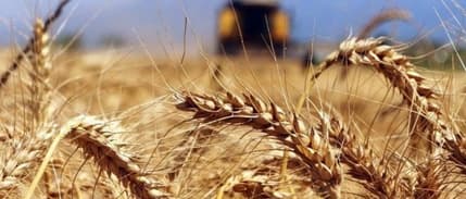 2023'te birleşme ve devralmalarda öne çıkan sektörler