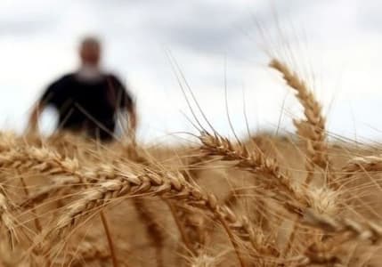 2024 hububat alım fiyatları belli oldu