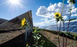 2024 yılı Türkiye'de güneş enerjisinde rekorların yılı oldu