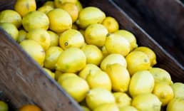 2025'in zam şampiyonu limon oldu