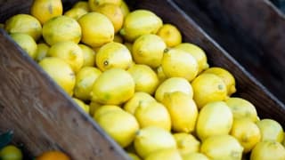 2025'in zam şampiyonu limon oldu