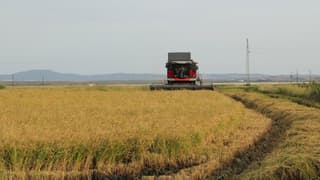 2026’da bitkisel üretime verilecek destekler açıklandı