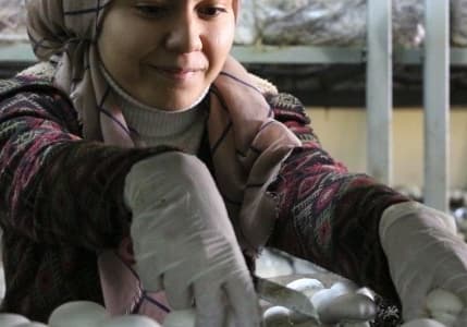 2028 Konya Ovası Projesi Eylem Planı ile gelecek vizyonu açıklandı