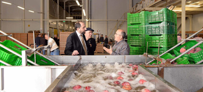 25 ülkeye ihracat yapan Saraylım Tarım için konkordato masası kuruldu