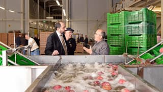 25 ülkeye ihracat yapan Saraylım Tarım için konkordato masası kuruldu