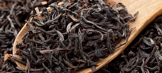 254 Bin Ton Kuru Çay Üretildi